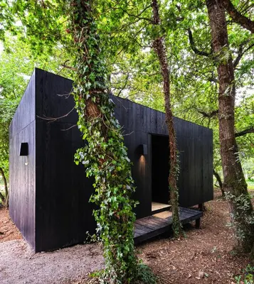 a black house in the woods with ivy growing around it at A Leira 116 Cabañas de diseño in Sarria