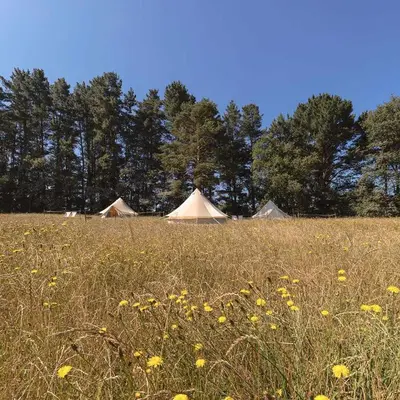 a field of grass with tents in the background at A Leira 116 Cabañas de diseño in Sarria