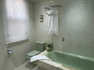 a bathroom with a green toilet and a bath tub at Apartamento A Tenencia in Sada