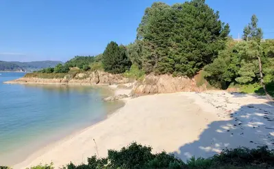 a sandy beach next to the water with trees at The Cliffs - Milamarina in Viveiro