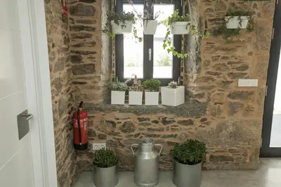 a room with potted plants on a stone wall at ALBERGUE O FERVELLO in Santiago de Compostela
