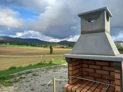 an outdoor brick oven with a field in the background at Grandes Duplex nuevos con Jardin y Barbacoa - 3 llaves, Los Gayoles Rural in Castropol
