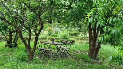 a picnic table and chairs in a park with trees at Finca Bouzas in Teo