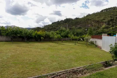 a garden with trees and a hill in the background at Villa Albino Piscina climatizada in Ribas del Sil