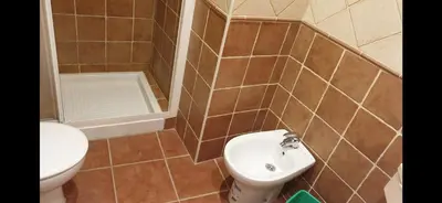 a bathroom with a toilet and a sink at Casa Rustica CESAR in Lubián