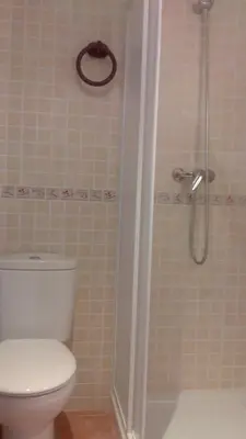 a bathroom with a toilet and a shower at Casa Rustica CESAR in Lubián