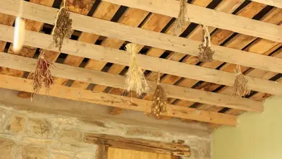 a wooden ceiling with ropes and nests on it at Casa do Bico in Becerreá