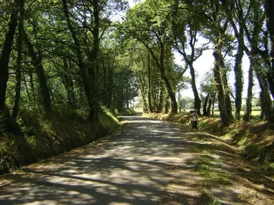 a person walking down a tree lined road at Stone Cottage La COMPOSTELANA in Curtis