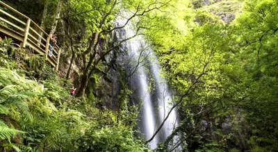 a waterfall in the middle of a forest at Casa Jardín in Monforte de Lemos
