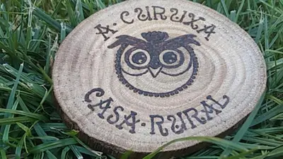 a log with an owl on top of the grass at A curuxa casa rural in El Mazo