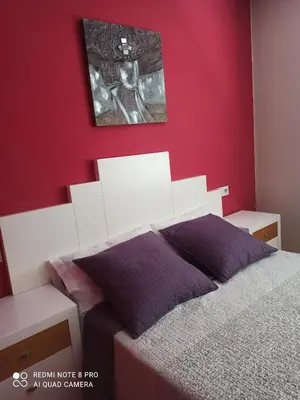 a bedroom with a bed and a red wall at Aroalia, super céntrico!! in Ourense