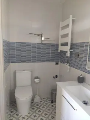 a bathroom with a white toilet and a sink at A Casiña do Camiño in Baamonde