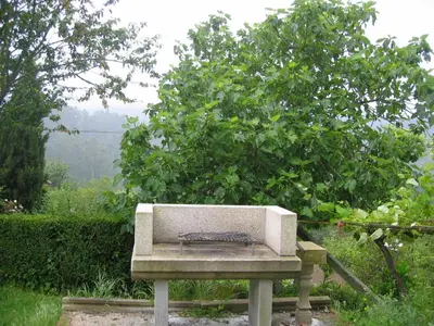 a stone bench sitting in front of a tree at Casa de Alicia Pontevedra Moraña Rías Baixas Casa Entera VT-PO-OOOO32 in Moraña