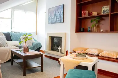 a living room with a couch and a fireplace at Luxury Singular Apartments Green in Santiago de Compostela