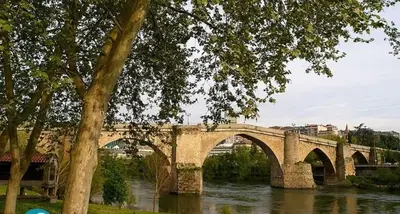 a stone bridge over a river with a tree at New J&J Hostel in Ourense