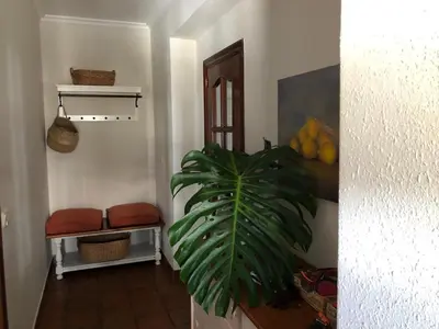 a hallway with a plant in the corner of a room at Casa Santa Ana in Tourón
