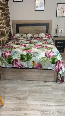 a bed with a floral comforter in a bedroom at Carballo Alenza,2 in Castro Caldelas