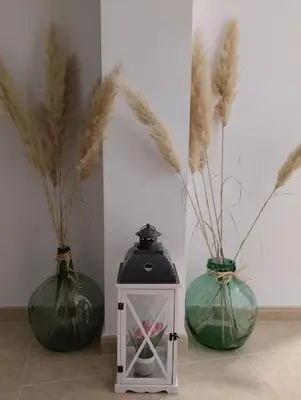 three vases sitting on the floor with plants in them at Casa Xarreiro in Chantada