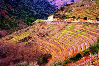 an ancient amphitheater on the side of a mountain at Castelodobispo - Ourense in Sobrado del Obispo
