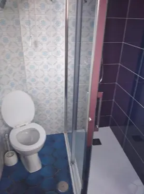 a bathroom with a toilet and a shower at Vivienda A Travesía Dos Soños in Sarria