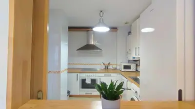 a kitchen with white appliances and a potted plant at Apartamento en Miño in A Coruña