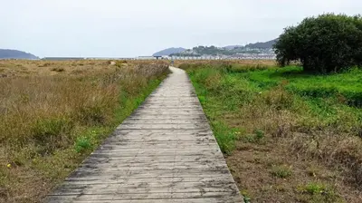 a wooden boardwalk in a field with a beach at Piso luminoso y acogedor en primera línea de playa Covas Viveiro in Vivero