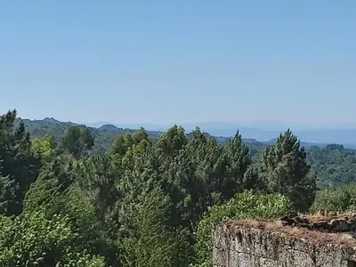 a view from the top of a mountain with trees at Casa das Peleteiro Ribeira Sacra in Ourense