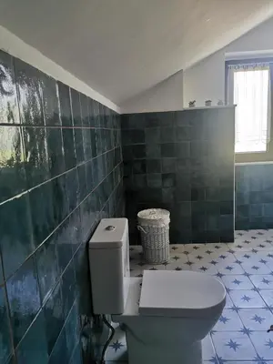 a bathroom with a toilet and a green tiled wall at La casona El Espín in Serandinas