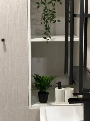 a bathroom sink with a plant on a shelf at Oktheway Ultreia in Sarria