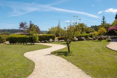a gravel path in a park with a tree at Makkan Club in Oleiros