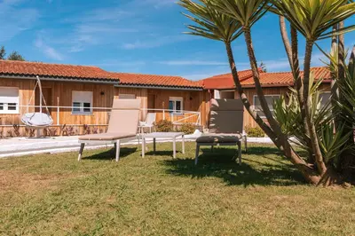 a yard with two chairs and palm trees in front of a house at Makkan Club in Oleiros