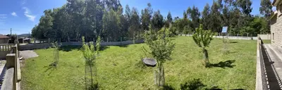 a garden with trees in the middle of a field at As Pias in Pontevedra