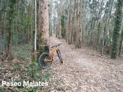 a bike parked on a trail in the woods at DÚPLEX ÁTICO XANA FOZ con terraza 80 m2 privada y vistas a la ría in Foz