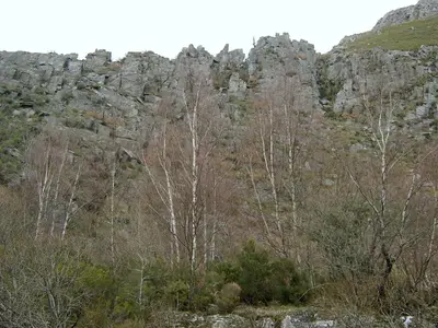 a rocky mountain with trees in front of it at Pallozas Turisticas Ridicodias - A Pedra in Matamá