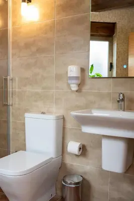 a bathroom with a toilet and a sink and a mirror at Pallozas Turisticas Ridicodias - A Pedra in Matamá