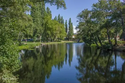 a river with trees reflecting in the water at Casita del Río Ourense in Ourense
