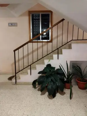 a staircase in a house with two potted plants at Aloha Barreiros in Barreiros