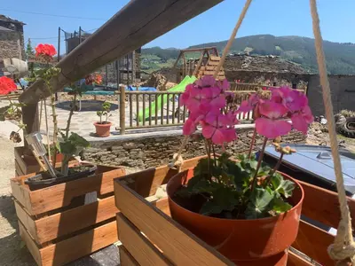 two potted plants in wooden boxes on a balcony at PiluPeta Casa de Aldea in Goje