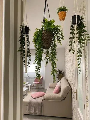 a living room with a couch and lots of plants at Aire de Sanabria Puebla in Puebla de Sanabria