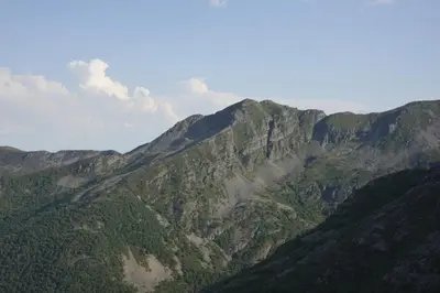 an aerial view of a mountain range with trees at Vivienda Uso Turístico As Quintas in Suarbol