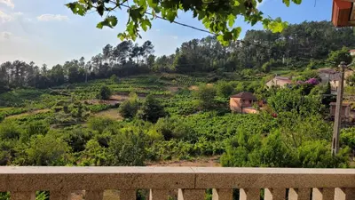 a wooden bridge with a view of a field at Casa do Cuco, Ribeira Sacra in Ourense