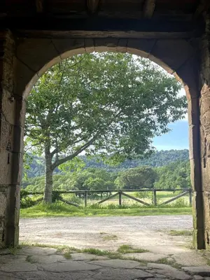 an archway in a building with a tree and a fence at Casa Grande de Láncara in Lugo