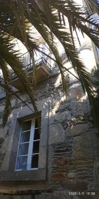 a building with a window and a palm tree at Casa Grande de Láncara in Lugo