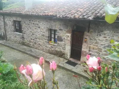 a stone house with pink flowers in front of it at CASA CHANOS in Cangas del Narcea