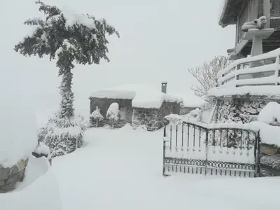 a snow covered yard with a fence and a tree at CASA CHANOS in Cangas del Narcea