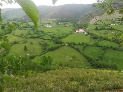 a view of green fields from a hillside at CASA CHANOS in Cangas del Narcea