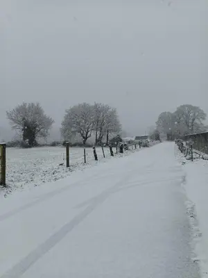 a snow covered road in a field with trees at Casa Os Prados da Albela in Tríacastela