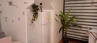 a white refrigerator in a room with a plant at ÁTICO 2 terrazas LEMASALUD in Ares