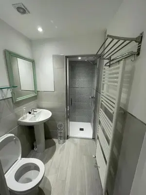 a bathroom with a shower and a toilet and a sink at Casa Tía Milagros in Puebla de Sanabria