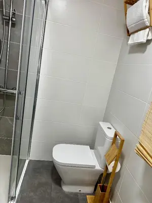 a bathroom with a toilet and a shower at N&E - Home Celanova AVD San Rosendo in Celanova